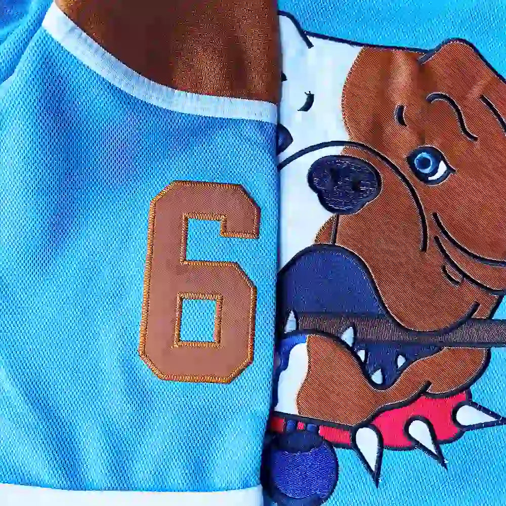 Close-up of Stitched Sleeve Number 69 on Shoresy Bulldogs Jersey