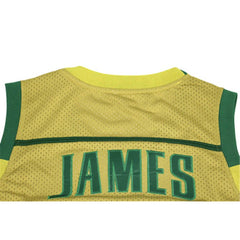 LeBron James High School Jersey - St Vincent St Mary Irish Jersey One