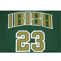lebron james st vincent st mary jersey